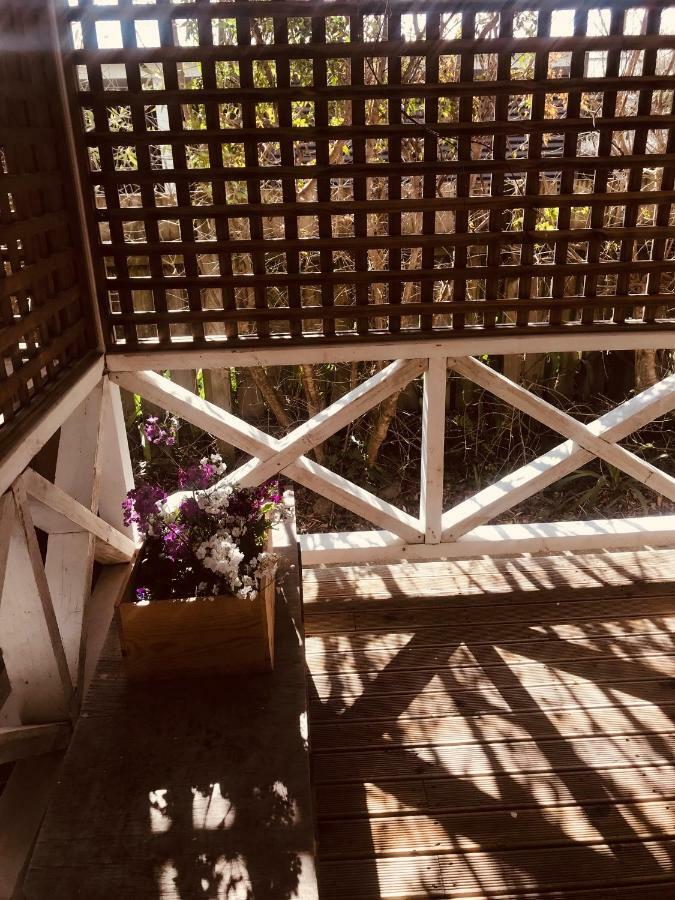 Prodigal Daughter Gourmet Lodge Martinborough Esterno foto